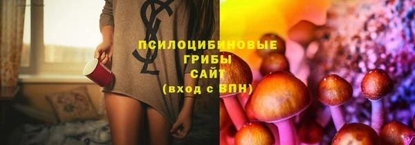 метадон Белокуриха